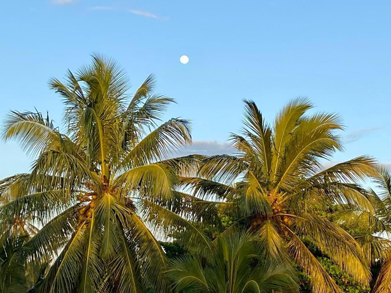 Sasagara Beach Villa Tangalle Exterior photo